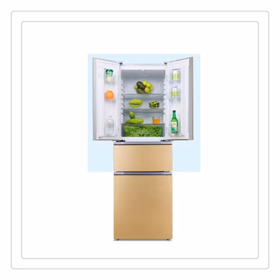 가정용 대형 스테인레스 스틸 병렬 프렌치 도어 냉장고 Bcd-550wdlg/Bi